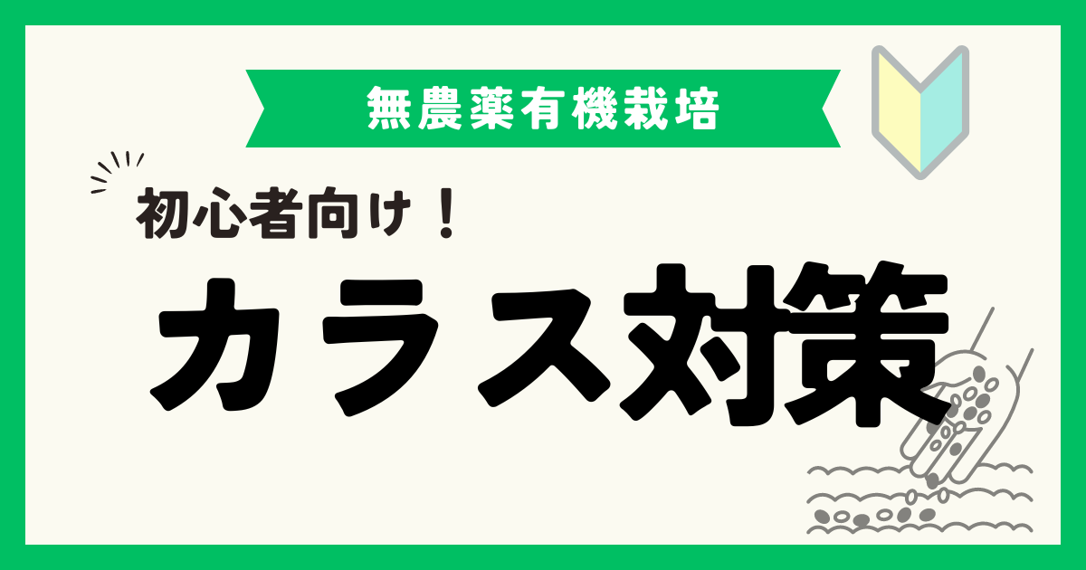 市民農園における鳥やカラスへの効果的な対策とは？実践方法を徹底解説！